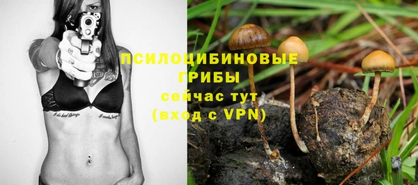 мдпв Коряжма