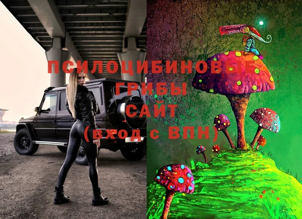 мдпв Коряжма